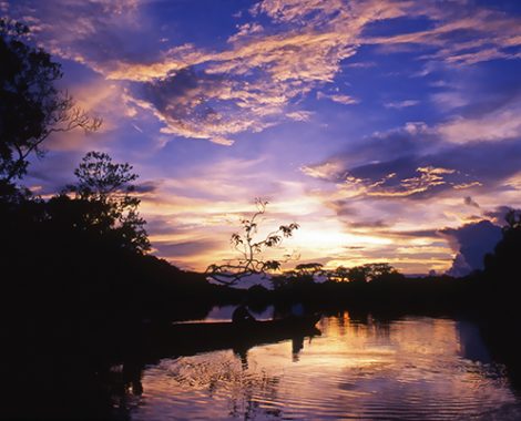 AR PN AMAZONIA ORELLANA LAGUNAS 078 (2)