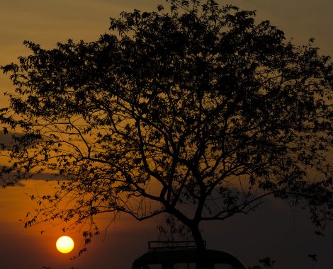 LOS RIOS,ECUADOR 023/10/2013; Los atardeceres en la provincia de los Rios se tiñen de mil colores anaranjados regalando al turísta las mejores estampas del final del día  .( Foto/ Edu León)