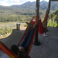 IMG-2