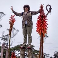 IMG-20180808-WA0031