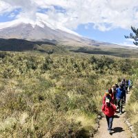 IMG-20180810-WA0011